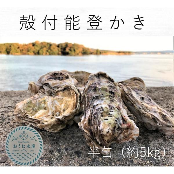 [Release date: December 5, 2025]【商品規格】 （採取海域） 　　 　石川県七尾市西湾海域 （生食の可否）　　　加熱調理用　　　　　　　　　　　※加熱調理用の牡蠣です。　中心温度８５度以上で１分以上加熱を目安に...