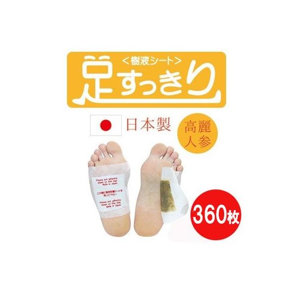 V[g tV[g 360 tbgPA ނ lQ {