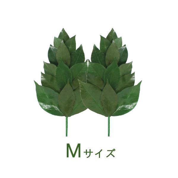 【送料無料】水やり不要でお手入れ簡単！丹波産椿葉にプリザーブド加工を施した造花とは一味違うプレミアムな榊。生葉ならではの質感と美しさを持ちつつ、水やりが不要。葉の１枚１枚にワイヤーで茎を作って結束しているので、葉の開き具合を調整できます。安...