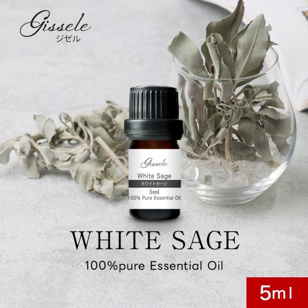 〈お引越しクーポン半額〉アロマオイル 精油 5ml ホワイトセージ ［Gissele/ジゼル］ カリフォルニア 浄化 アロマ エッセンシャルオイル