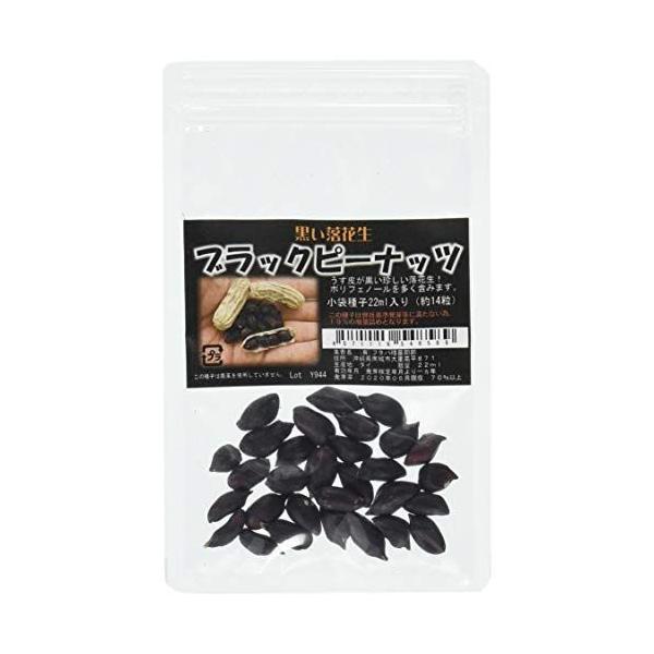 黒い落花生 ブラックピーナッツ 種