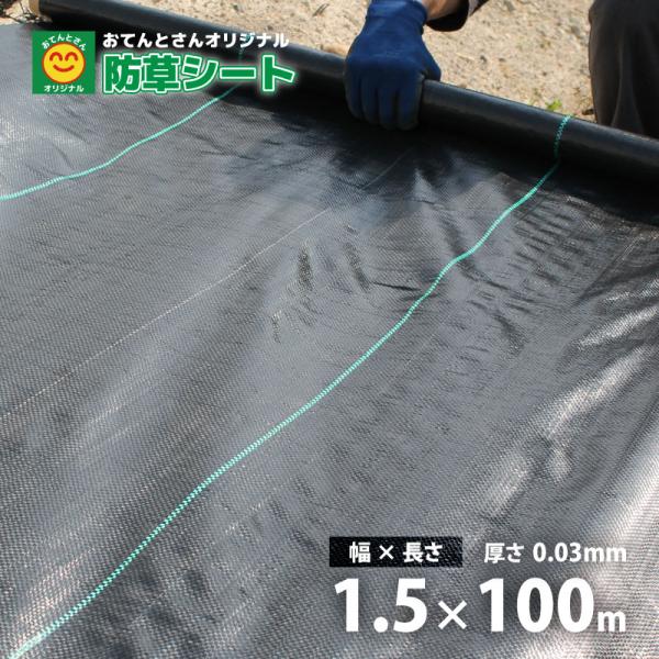 防草シート　巾1.5m×長さ100m　ポリエチレン　おてんとさんオリジナル　草よけシート　雑草防止