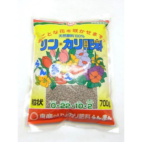 @EJ엿܂񗱏@0-19-10-2@700g