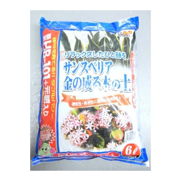  HB-101+ TXxA ̐؂̓y 6L