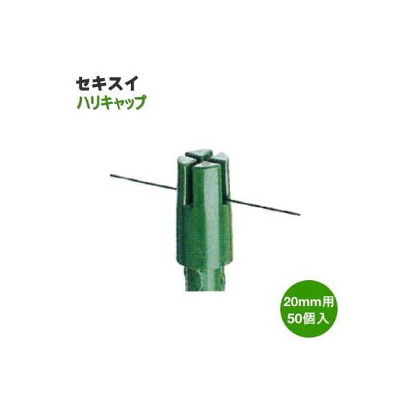 otentosun_0404039084008