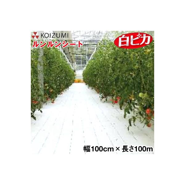 KOIZUMI (小泉製麻)　防草シート　ルンルンシート　白ピカ　幅100cm×長さ100m