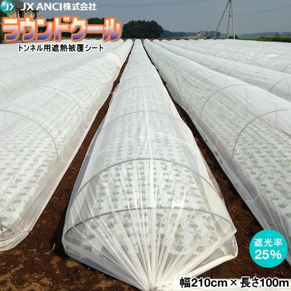 glpՔM핢V[g@EhN[@210cm×100m@(Ռ25)