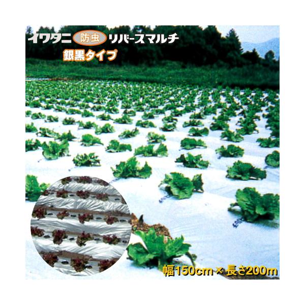 200m 黒マルチ 150 ガーデニング用品の人気商品・通販・価格比較 - 価格.com 200m 黒マルチ 150 ガーデニング用品の人気商品・通販・価格比較 - 価格.com
