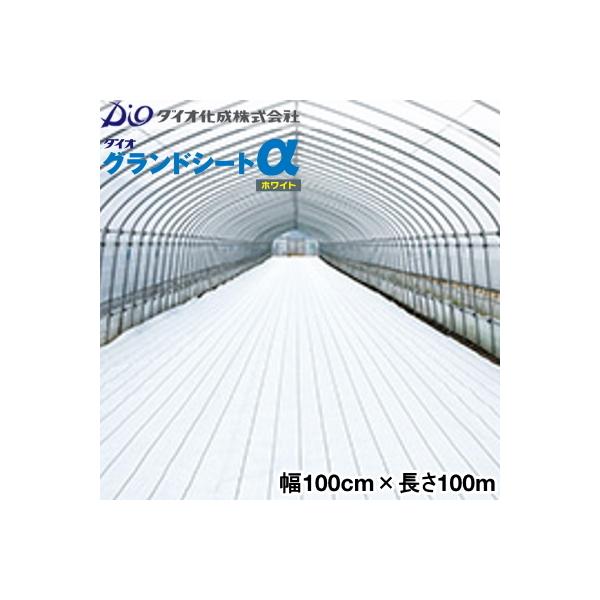 CmxbNX@hV[g@_CIOhV[gzCg@100cm×100m@(h˃V[g)