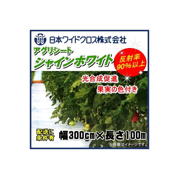 {ChNX@AOV[gVCzCg@(˖hV[g)@3m×100m@iqC@G}/G΍/nEX̖h