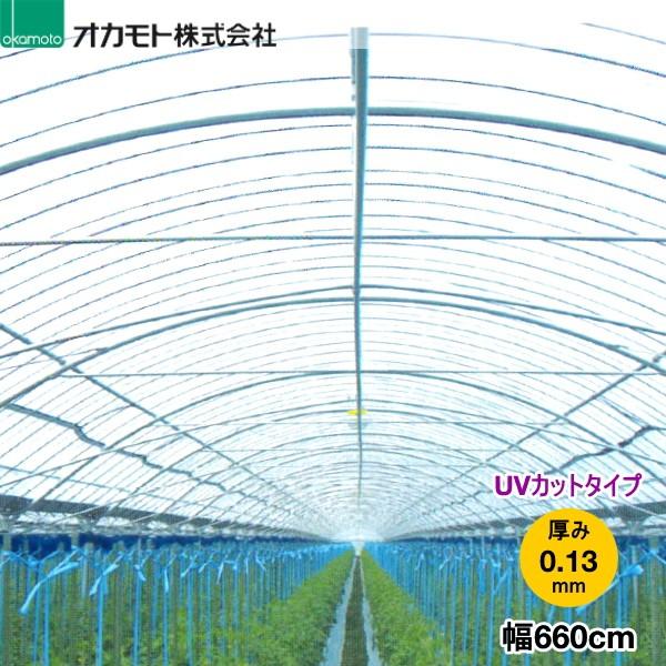 Uvカット フィルム 3m ビニールハウス資材の人気商品 通販 価格比較 価格 Com