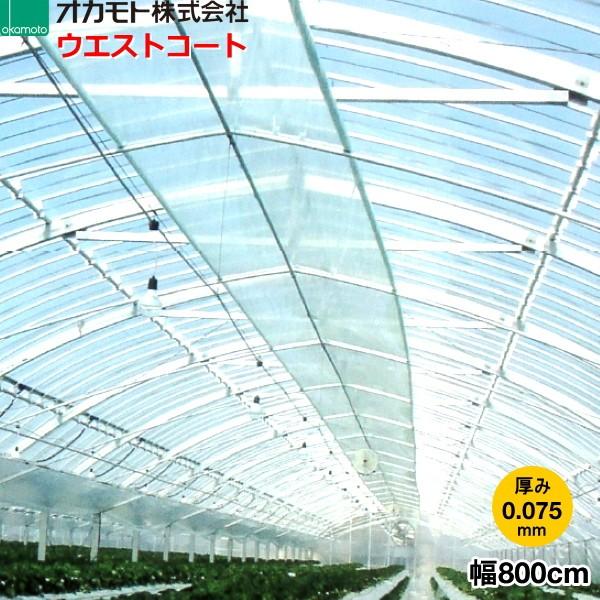 ビニールハウス資材 フィルム 0 075の人気商品 通販 価格比較 価格 Com