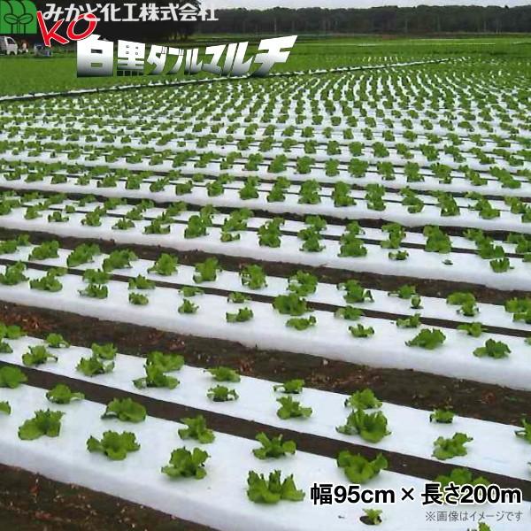 ݂ǉH KO_u}`@iKOWBj@0.025mm@95cm×200m@E@3{Zbg