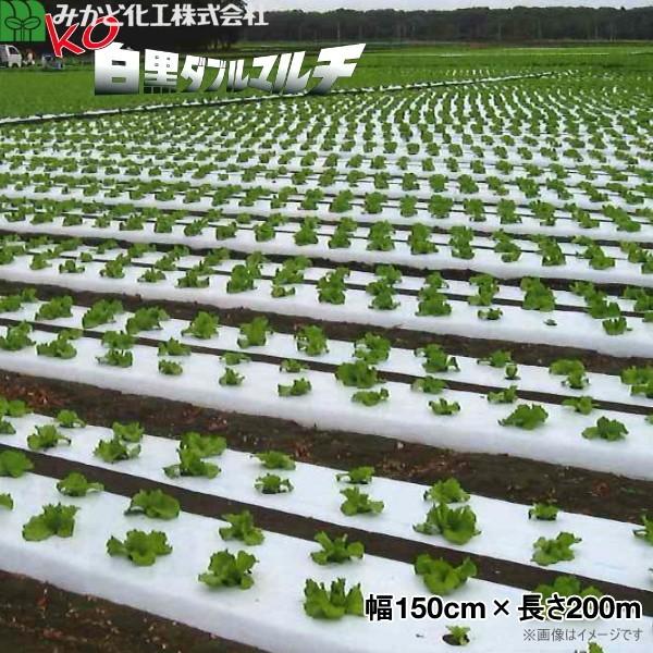 ݂ǉH KO_u}`@iKOWBj@0.025mm@150cm×200m@E@2{Zbg