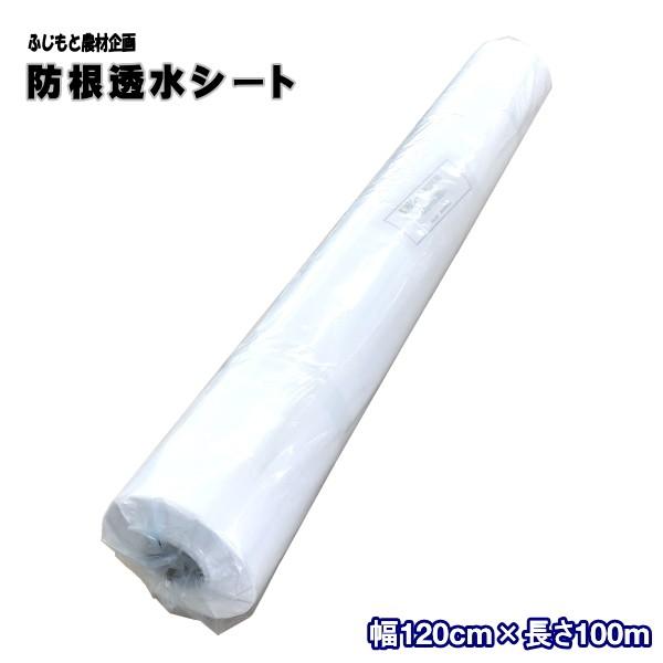 ӂƔ_ފ@hV[g@KGPE50@()@120cm×100m