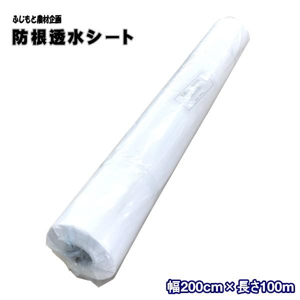 ӂƔ_ފ@hV[g@KGPE50@()@200cm×100m