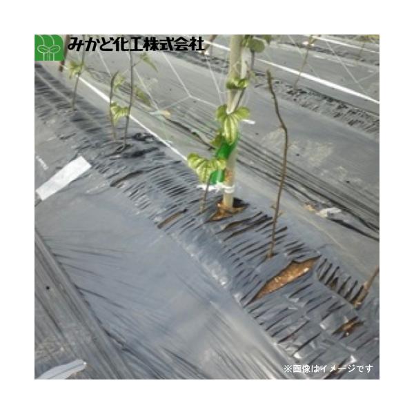 ݂ǉH fV[g@M945B@@95cm×100m@f45cm@d/_d(V[he[v)/Ud@}`@gl}`ɍœK