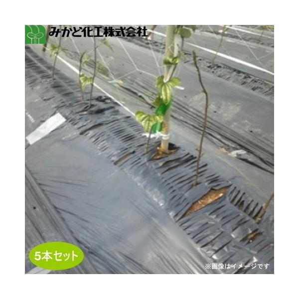 ݂ǉH fV[g@M4110B@@140cm×100m@f110cm@5{Zbg@d/_d(V[he[v)/Ud@}`@gl}`ɍœK