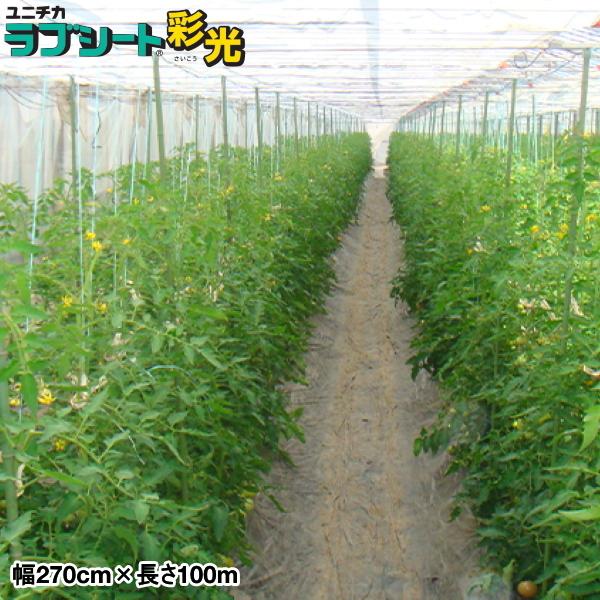 _ƗpsDz@uV[g@ʌ@270cm×100m