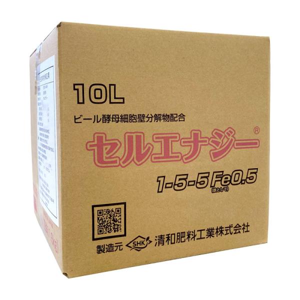 otentosun_0405442120000