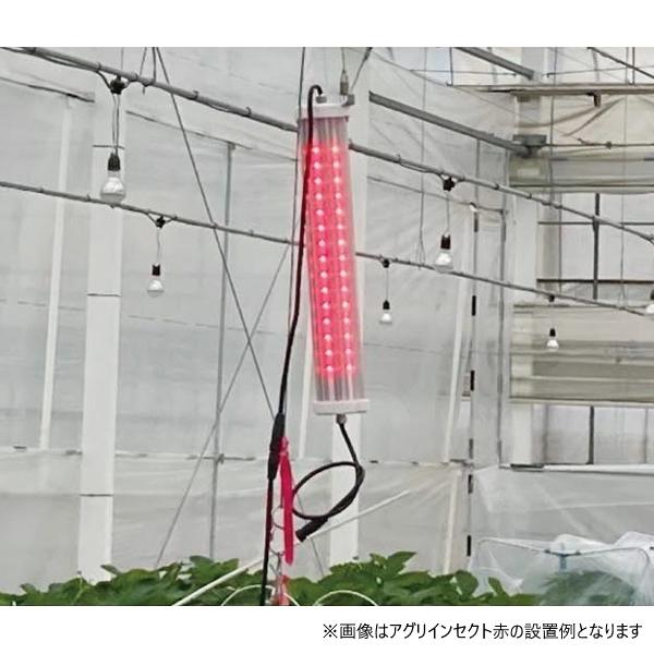日栄インテック アグリインセクト 赤 防虫用LED アザミウマ類防除 減