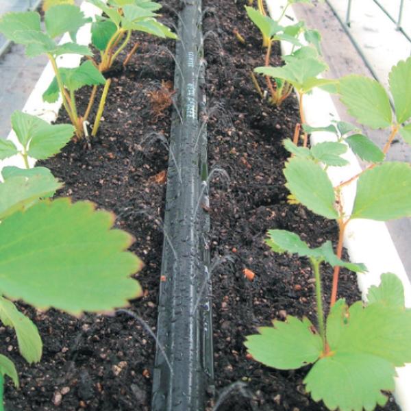 住化農業資材 潅水チューブ ネオドリップ ウエシタ02L 200m巻 灌水 二