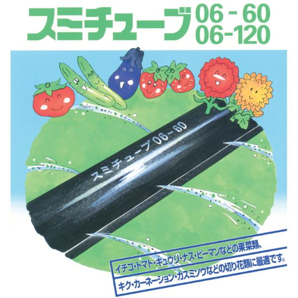 otentosun_0405442796007