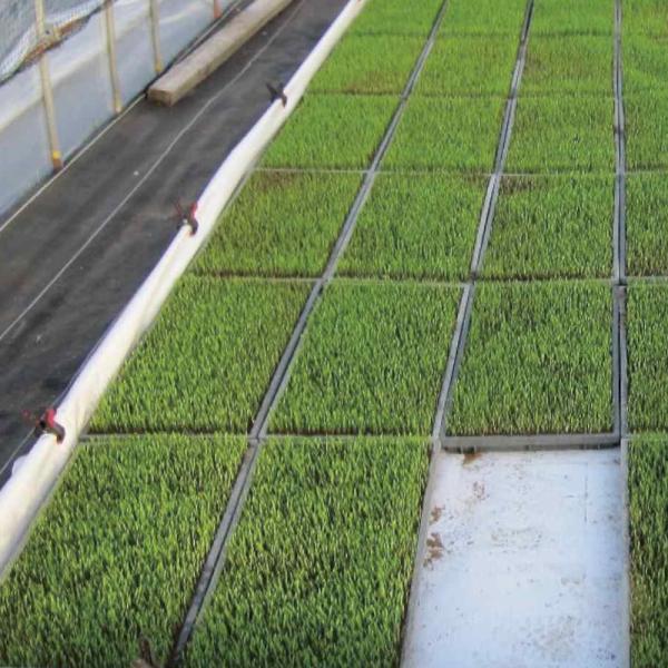 【ご注意ください!!】本品は他の商品と同梱できません。他の商品は必ず本品とは別にご注文手続き願います。一緒にご注文いただきますと、受注処理を進めることができなくなってしまい、お届けが遅くなってしまいます。