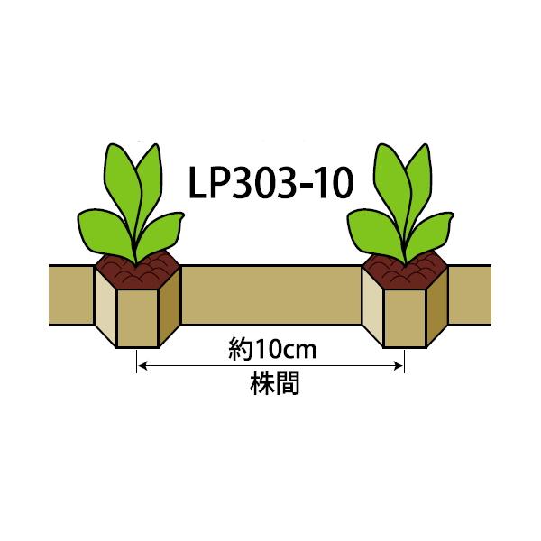 チェーンポットLP303-10！2ケース150入り