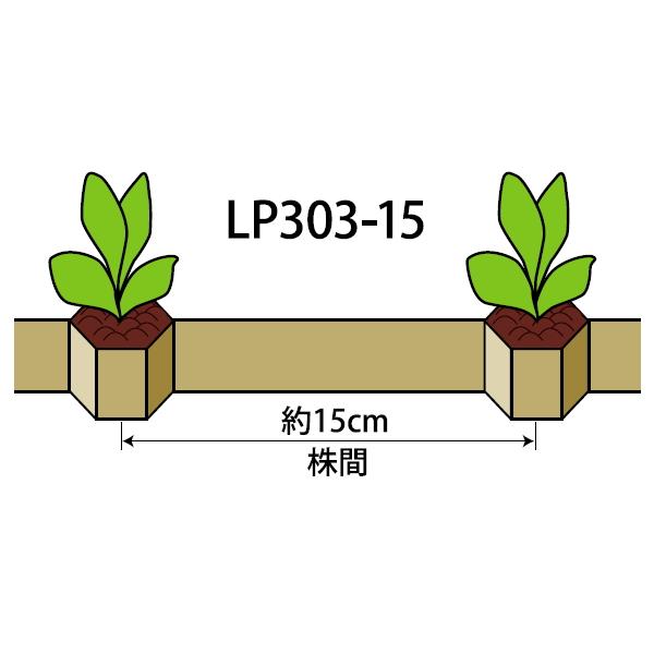 ニッテン　ロングピッチチェーンポット　LP303-15　径3cm×高3cm　株間15cm　穴数264　お得なケース販売75冊入り　青ネギ ニラ 軟弱野菜