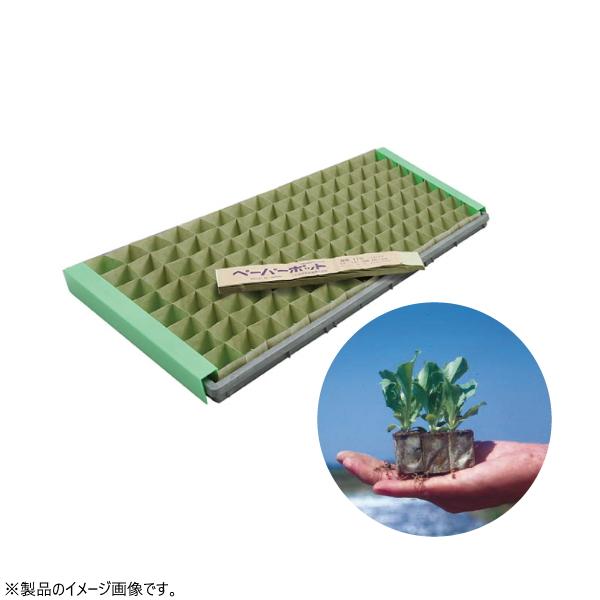ニッテン ペーパーポット No.3 3号 径3cm×高13.5cm 四角 穴数700 長尺 