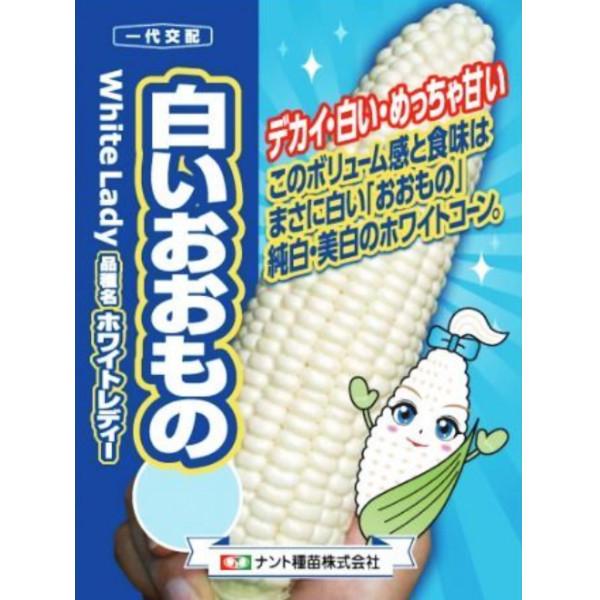 種【トウモロコシ】白いおおもの（2000粒）【ナント種苗】野菜 種子