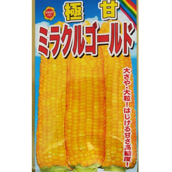 ※ネコポスで発送する場合は下記にご注意ください。※【お届け方法を「メール便（ネコポス）」に変更してください。】■ご注文後はお届け方法の変更が出来ません。■当該商品のみ上限数量までならネコポス（送料300円）で発送可能です。■商品名後方の「〇...