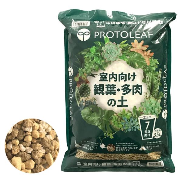 otentosun_4535885245643