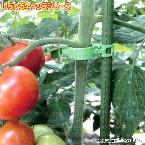 UNbv@イLb`11 (xa11~p)@@300