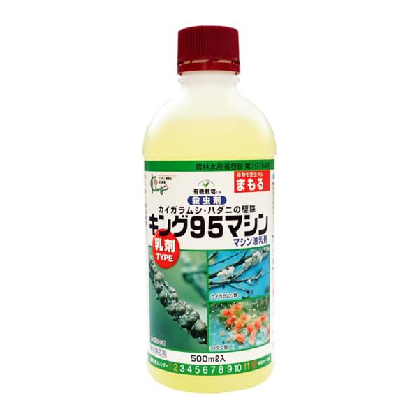 100ｇみどきん、グリーン、あかきん 120ｇおれきん、あかきん、みどきん OKF スパークリング メロン ペット 350ml x24 8809713910239 1