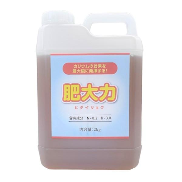 tʎUzt@K@2kg@̐nJ엿