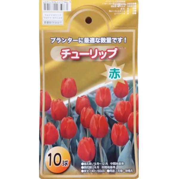 【花卉 球根】チューリップ袋詰め  赤　10球