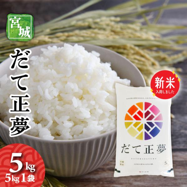 新米 だて正夢 5kg 令和7年産 送料無料 白米 お米 宮城の新ブランド米