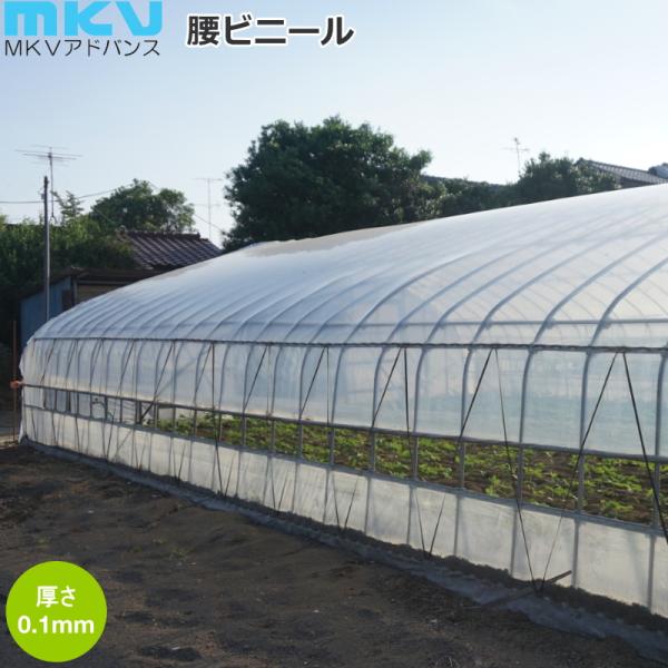 ジャックと　　ビニールハウス　天井ビニール　農PO 700cm×40m ビニールハウス 天井ビニール 農PO 700cm×40m 0.075mm 未使用