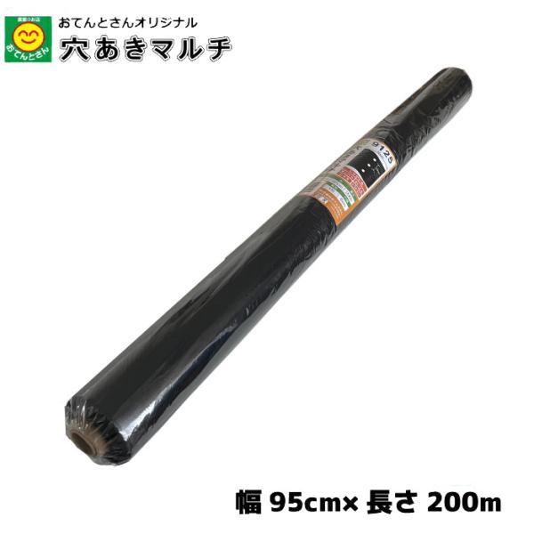 穴あき黒マルチ 9125 厚0.02mm×幅95cm×長200m 穴あきマルチ 穴あき黒マルチ 9125 厚0.02mm×幅95cm×長200m 穴あきマルチ