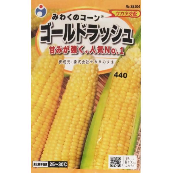 メール便可 6個まで】トウモロコシ みわくのコーン ゴールドラッシュ