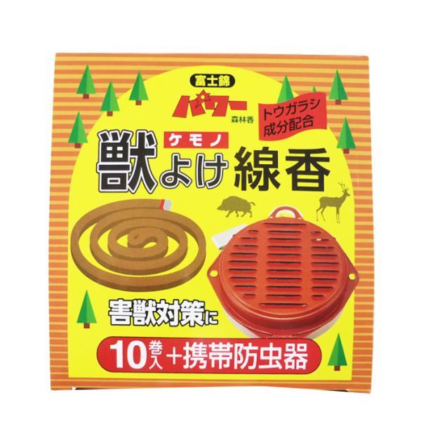 ʌZ폤@b悯@10+gіh@ygEKVzz