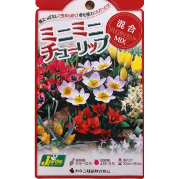 【花卉 球根】ミニミニチューリップ 混合MIX 10球