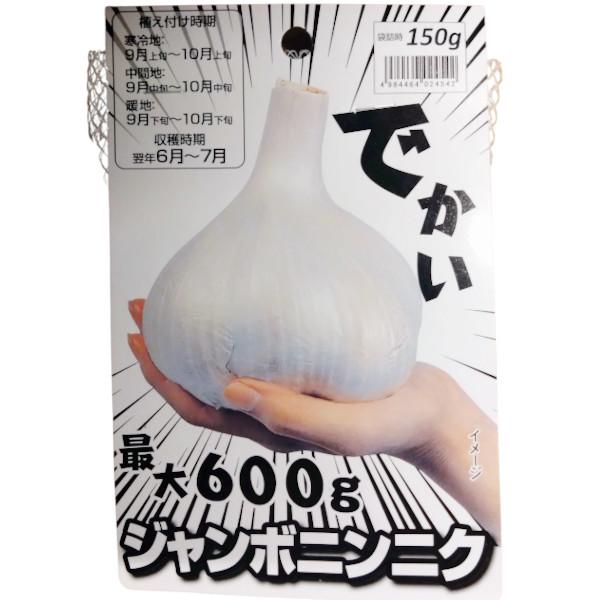 球根　ジャンボニンニク　150g