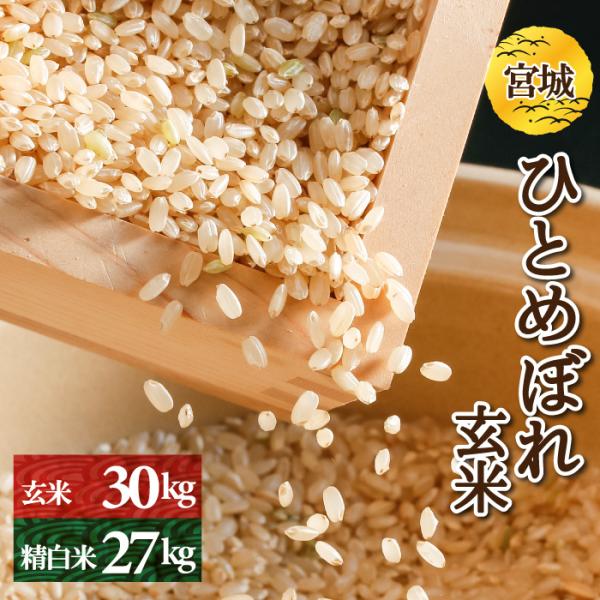 令和3年産　ひとめぼれ　玄米　30kg　宮城県産　調整済玄米　検査一等米　送料無料（離島・沖縄発送不可）　