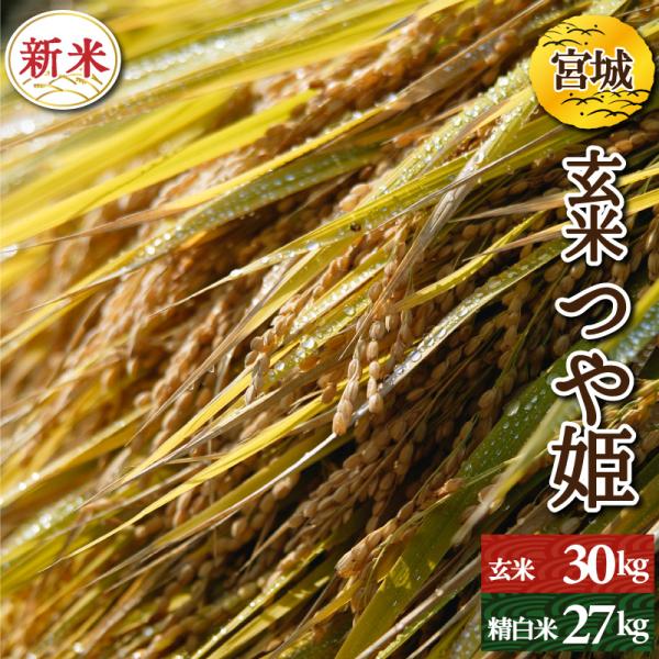 ■この玄米は生産者が収穫後袋詰めし農産物検査法に基づき検査を受けた玄米で、米袋に等級や生産者情報の記載がございます。■検査1等米ですが、農産物検査基準内での籾殻（0.3%以内）や小石などの異物（0.2%以内）等が混入している可能性がございま...