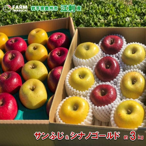 江刺産りんご 岩渕ファーム サンふじ／シナノゴールド詰め合わせ 3kg