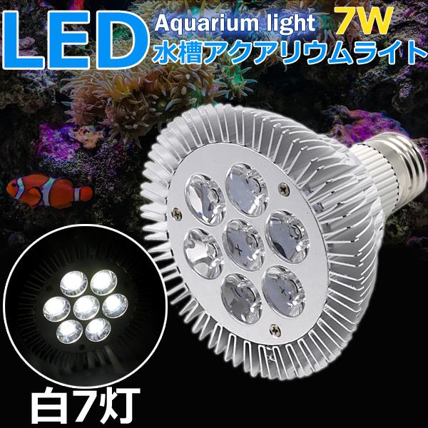 即日発送 水槽照明 アクアリウムライト サンゴ 海水魚 Ledライト 7w E26口金 白7灯 熱帯魚 海水魚 水草 植物育成 海水 スポットライト 電気 送料無料 Ky003 Aqa よろず屋 通販 Yahoo ショッピング