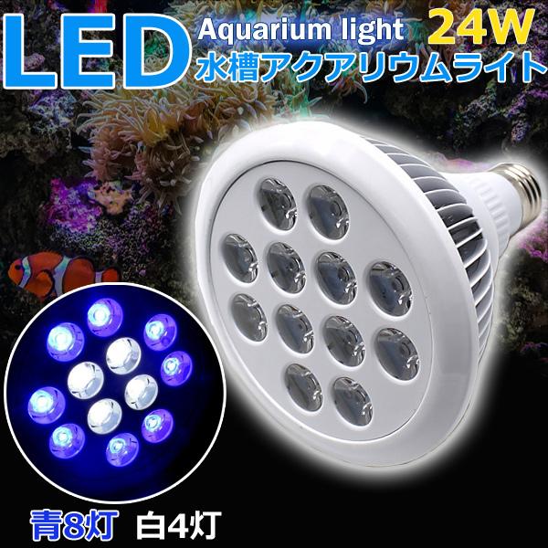 即日発送 水槽照明 アクアリウムライト サンゴ 海水魚 Ledライト 24w E26口金 青8 白4灯 熱帯魚 水草 植物育成 海水 スポットライト 電気 送料無料 Ky014 Aqa よろず屋 通販 Yahoo ショッピング
